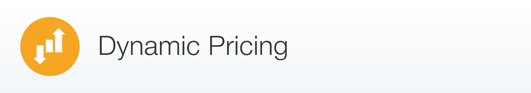 Dynamic pricing strategy dynamic pricing